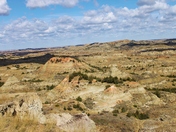 Theodore Roosevelt National park