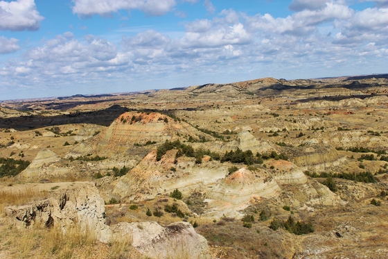 Theodore Roosevelt National park