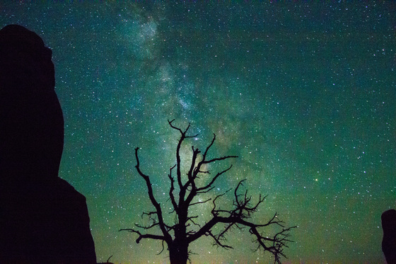 Arches National Park