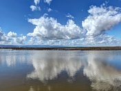 Don Edwards San Francisco Bay  National Wildlife Refuge