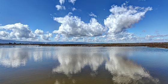 Don Edwards San Francisco Bay  National Wildlife Refuge