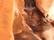 Zion
