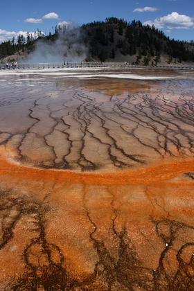 Yellowstone National Park