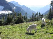 Glacier National Park