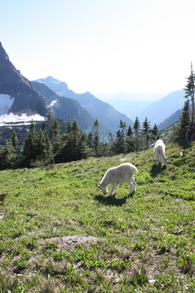 Glacier National Park