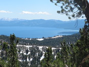 Lake Tahoe Forest. CA, Fed. Land. 