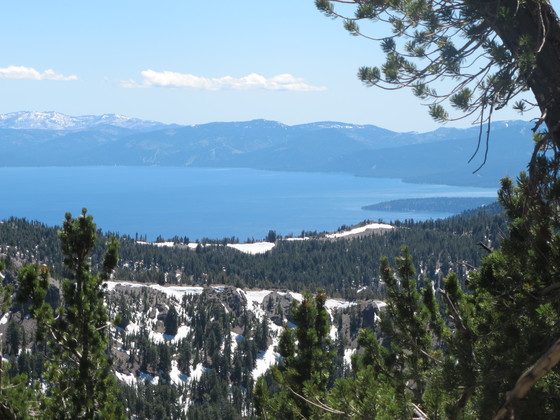Lake Tahoe Forest. CA, Fed. Land. 