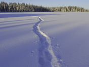 Kenai National Wildlife Refuge
