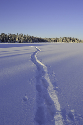 Kenai National Wildlife Refuge