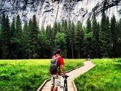Yosemite National Park