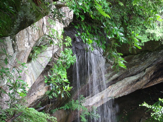Yahoo Falls, Whitley City, KY