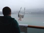 Glacier Bay National Park
