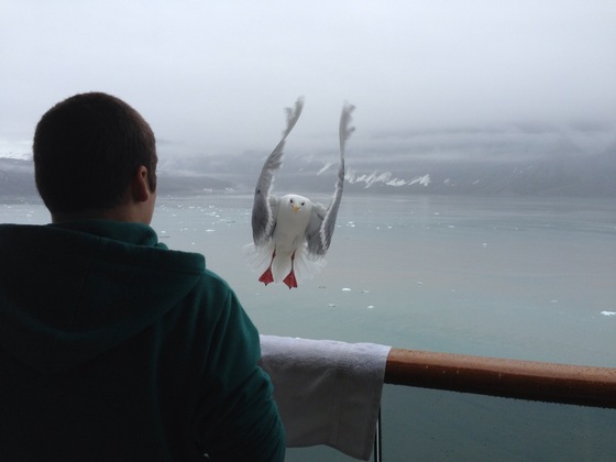Glacier Bay National Park