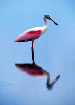 Merritt Island