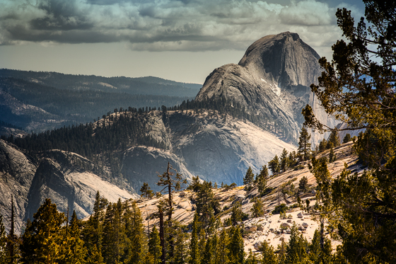 Yosemite National Park