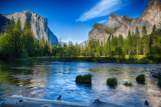 Yosemite National Park