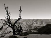 Grand Canyon National Park