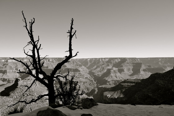 Grand Canyon National Park
