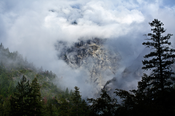 Yosemite National Park