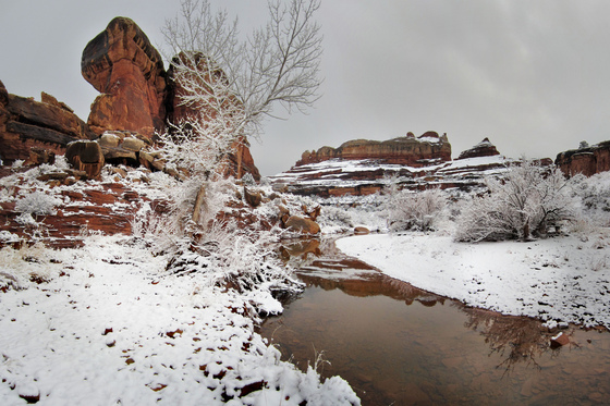 Canonlands National Park