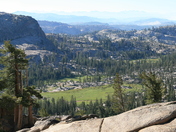 Stanislaus National Forest