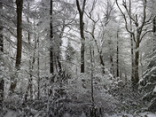 Great Smoky Mountains National Park