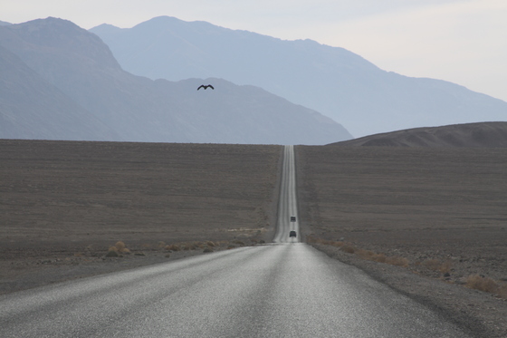 Death Valley Nat'l Park