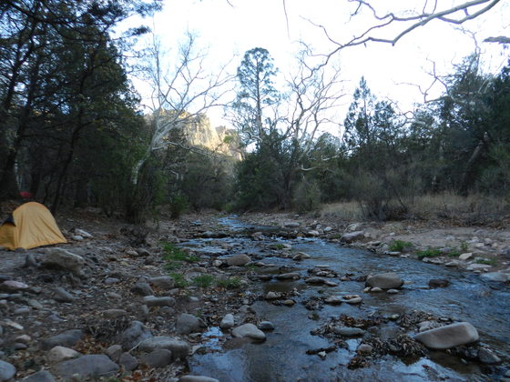 Coronado National Forest