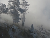 yellowstone national park, mamoth hot springs