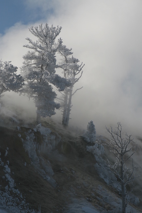 yellowstone national park, mamoth hot springs