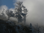 yellowstone national park, mamoth hot springs