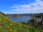 New Melones Lake