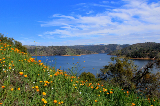 New Melones Lake