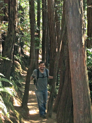 Muir Woods