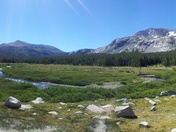 Yosemite Glacier Point, Tuolumne Meadow