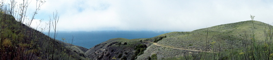Channel Island National Park/Santa Cruz Island