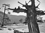 Yosemite Falls