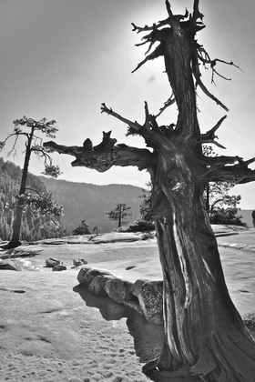 Yosemite Falls