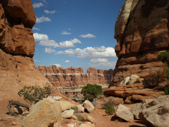 Canyonlands (Needles District) National Park