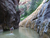 Zion National Park