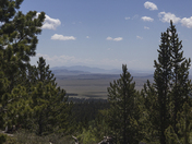 Pike National Forest
