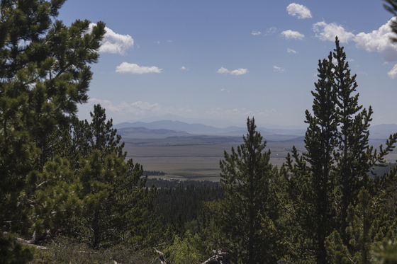 Pike National Forest
