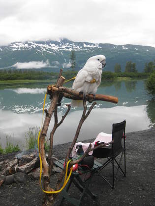 Portage Glacier, Alaska