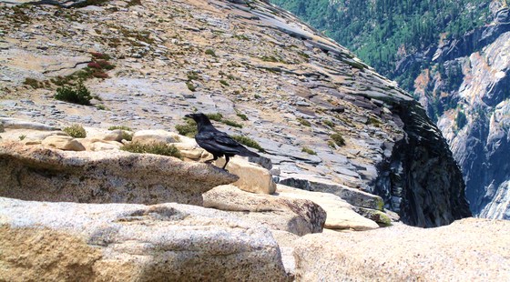 Yosemite National Park