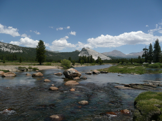 Yosemite National Park