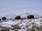 Tetons