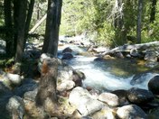 Gallatin Nat'l Forest/Woodbine Camp