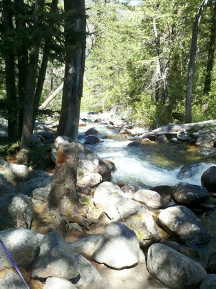 Gallatin Nat'l Forest/Woodbine Camp