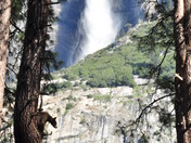 Yosemite National Park