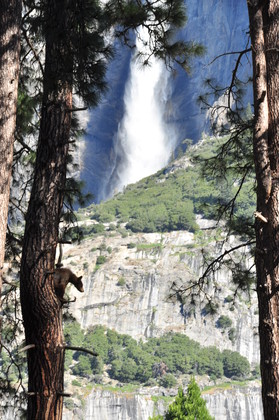 Yosemite National Park